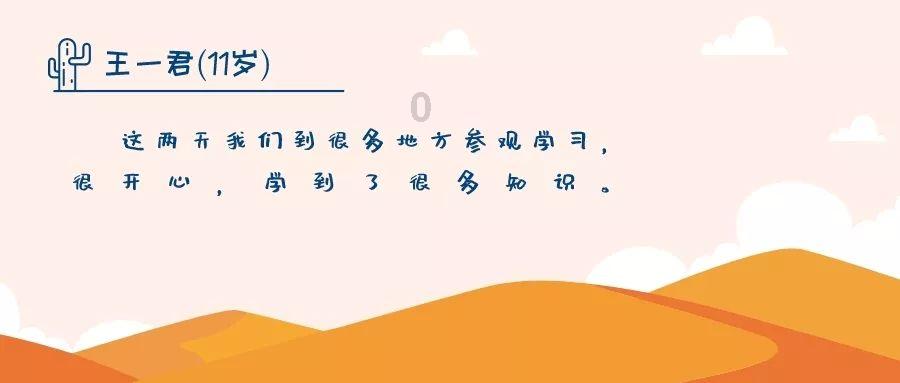 杏鲍菇一个多少钱？游戏画面